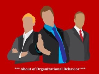 What do you know about Organizational Behavior