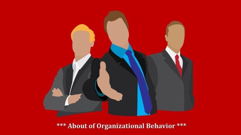 What do you know about Organizational Behavior