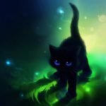 The Black Cat