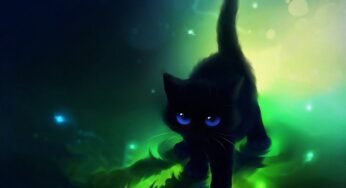 The Black Cat