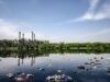 What is Pollution and Types of Environmental Pollution?