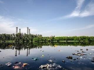 What is Pollution and Types of Environmental Pollution?