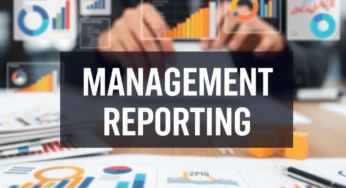 Management Reporting Meaning, Samples, Project Report