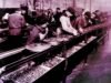 What are the Principles of Scientific Management?
