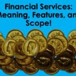 Financial Services Meaning Features and Scope - ilearnlot