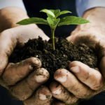 Value Added Statements Definition Advantages and Disadvantages - ilearnlot