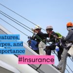 Features Types and Importance of Insurance