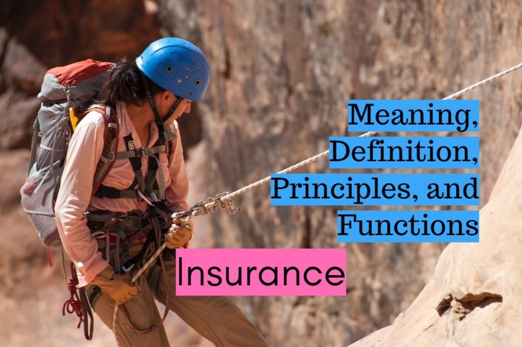 Meaning Definition Principles and Functions of Insurance