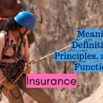 Meaning Definition Principles and Functions of Insurance