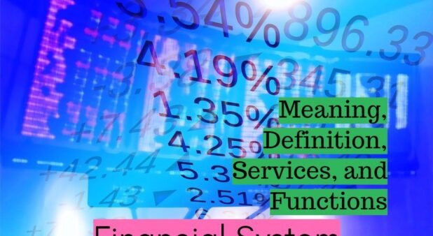 Meaning, Definition, Services, and Functions of Financial System