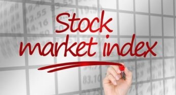 Purpose and Limitations of Stock Market Index