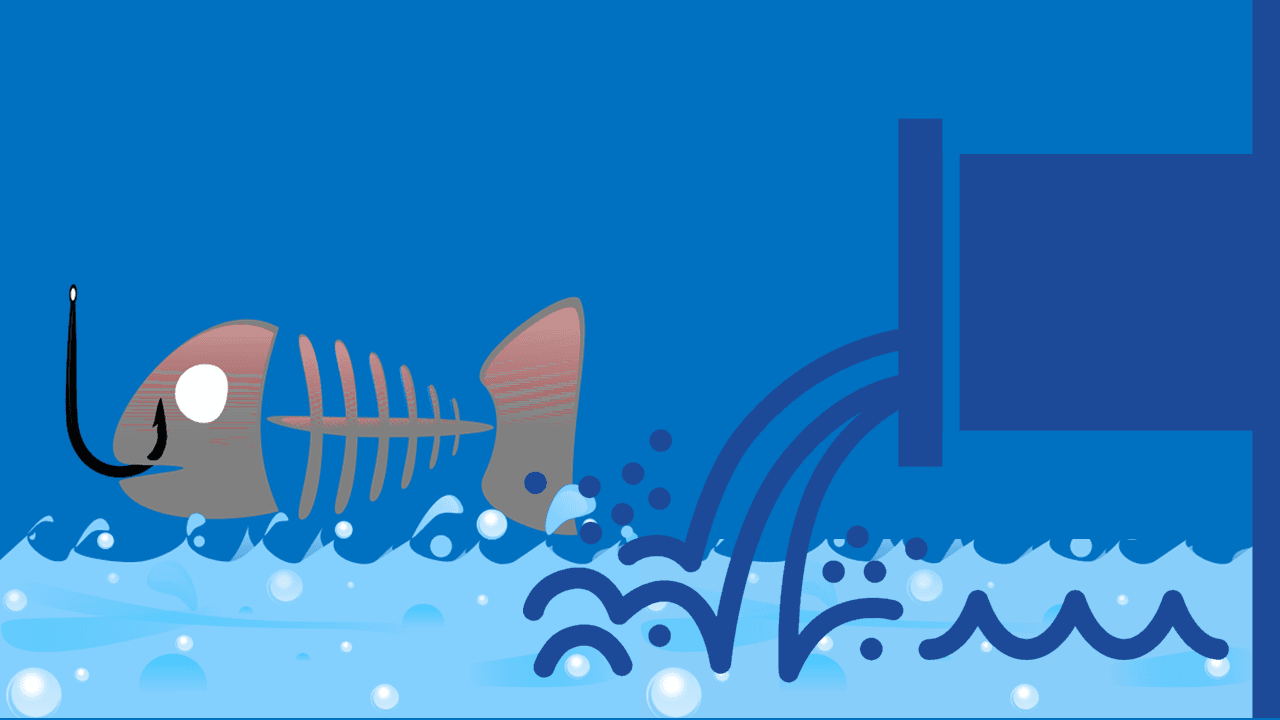 Water Pollution Sources Effects and Control