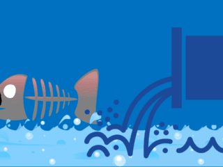 Water Pollution Sources Effects and Control