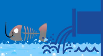 Water Pollution: Sources, Effects, and Control
