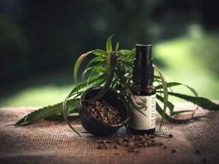 Try CBD Oil and Gummies for Insomnia Pain or Inflammation Image