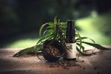 Try CBD Oil and Gummies for Insomnia Pain or Inflammation Image