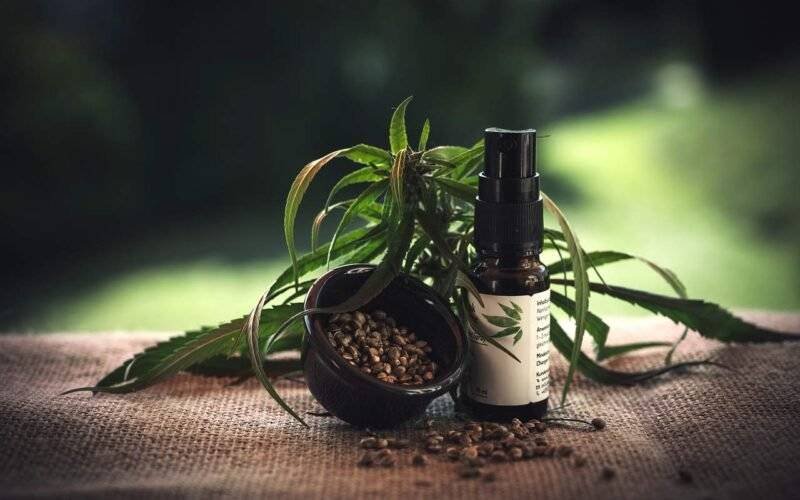 Try CBD Oil and Gummies for Insomnia Pain or Inflammation Image