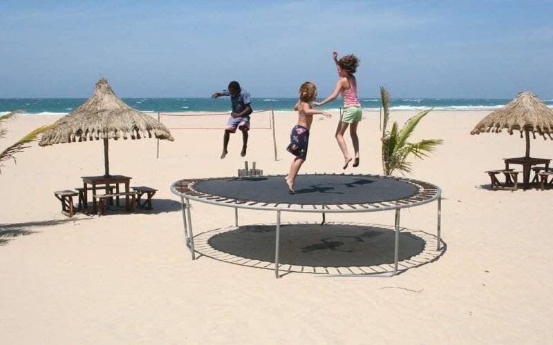 15 ft Trampoline with Basketball Hoop Best Tips for Garden Image