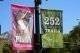 Effectiveness of Advertising in International and Global Markets Image