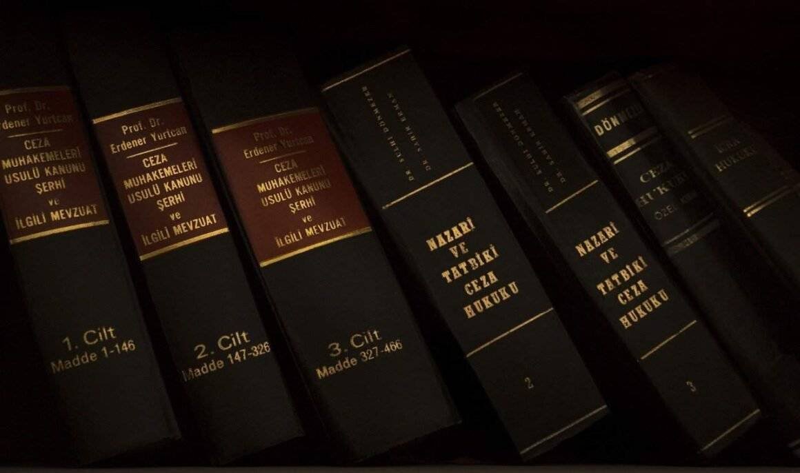 8 Case Study of Antitrust Law US Essay Image