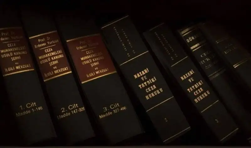 8 Case Study of Antitrust Law US Essay Image