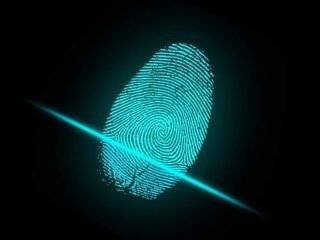 Biometric Authentication Methods Information Technology Essay Image