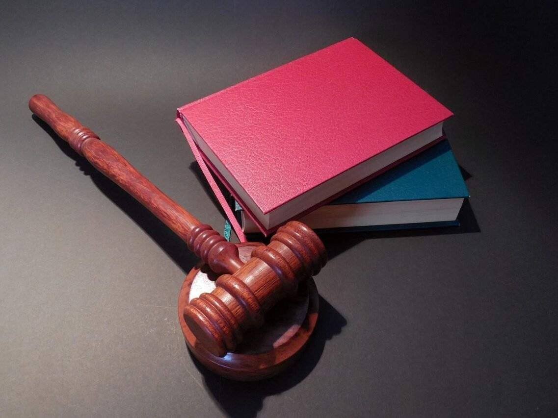 Judicial System Definition Differences Constitutional Law Essay Image