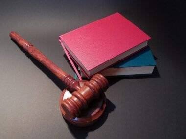 Judicial System Definition Differences Constitutional Law Essay Image
