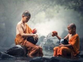Taoism vs Buddhism Differences or Distinction Religion Essay Image