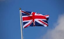 UK Human Rights Organisations and Constitution Politics Essay Image