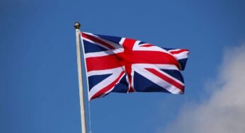 UK human rights organisations and constitution politics Essay