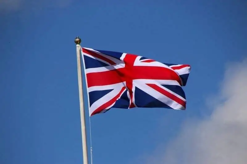 UK Human Rights Organisations and Constitution Politics Essay Image