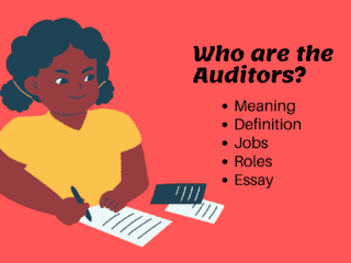 Auditors Meaning Definition Jobs and Roles Essay Image