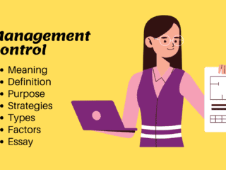 Definition Purpose Strategies of Management Control Essay Image