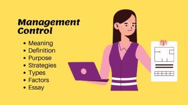 Definition Purpose Strategies of Management Control Essay Image