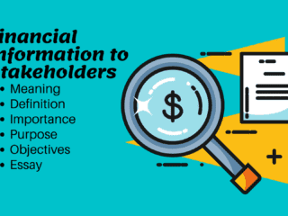 Importance and Objectives of Financial Information Essay Image