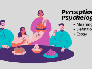 Perception in Psychology Meaning Definition and Essay Image