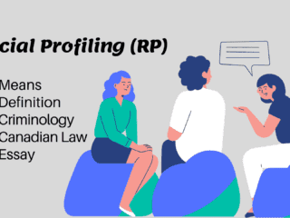 Racial Profiling Means Criminology Canadian Law Essay Image