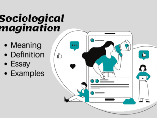 Sociological Imagination Essay and Examples Image
