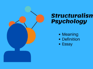 Structuralism Psychology Meaning Definition and Essay Image