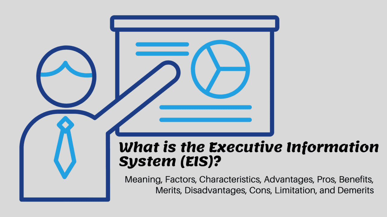 What is the Executive Information System (EIS) Image