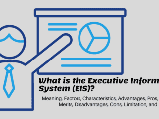 What is the Executive Information System (EIS) Image