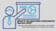 What is the Executive Information System (EIS) Image