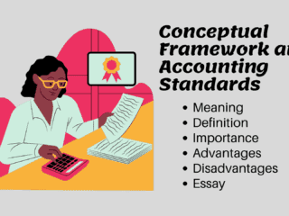 What is the Importance of Conceptual Framework and Accounting Standards with Essay Image