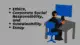 Ethics Corporate Social Responsibility and Sustainability Essay Image