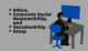 Ethics Corporate Social Responsibility and Sustainability Essay Image