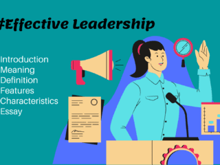 Features and Characteristics of Effective Leadership Image