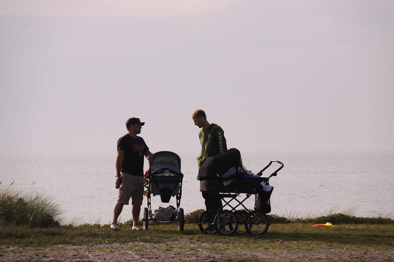 UPPAbaby Vista vs UPPAbaby Cruz Comparison Baby Stroller Image