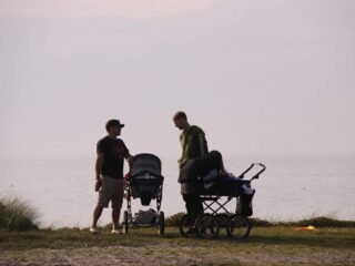 UPPAbaby Vista vs UPPAbaby Cruz Comparison Baby Stroller Image