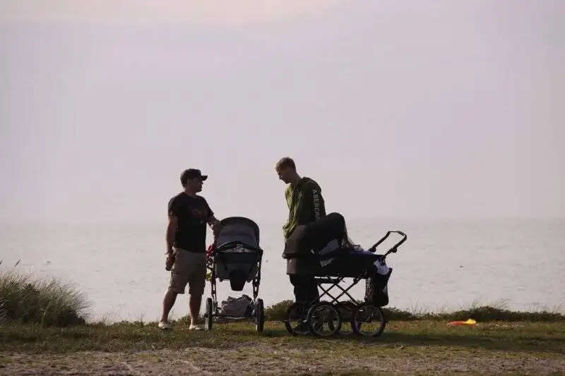 UPPAbaby Vista vs UPPAbaby Cruz Comparison Baby Stroller Image
